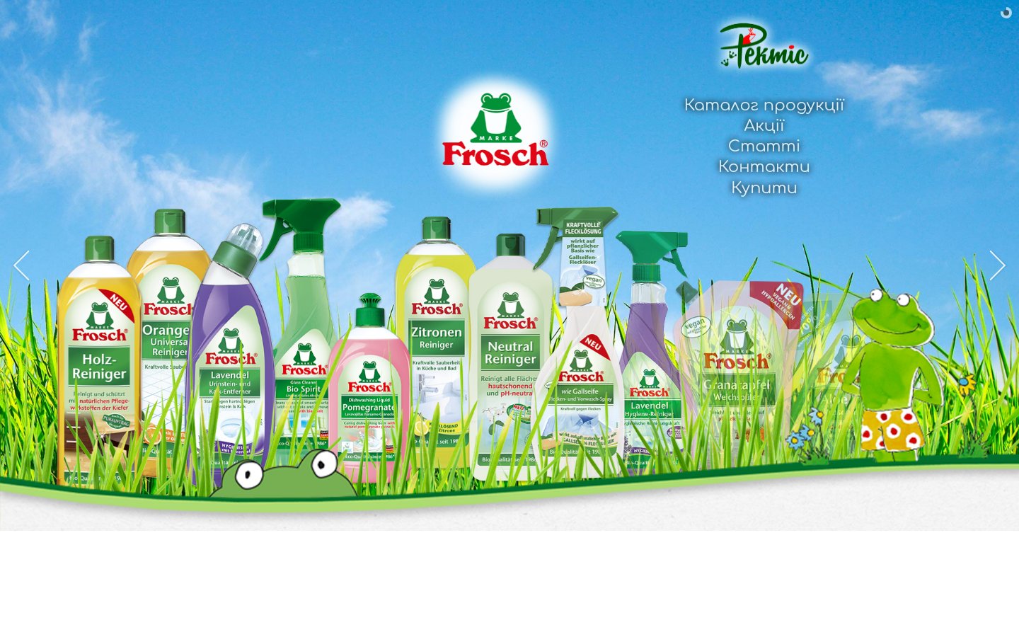 The product catalogue — eco household chemicals grouped by purpose